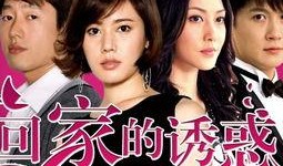 在线观看回家的诱惑,情感纠葛与家庭伦理的较量