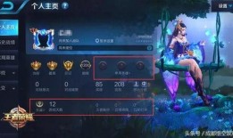 王者樱花爆料视频大全,揭秘游戏新内容与精彩瞬间