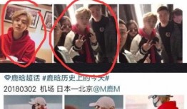 业内人士爆料鹿晗视频,业内揭秘背后真相